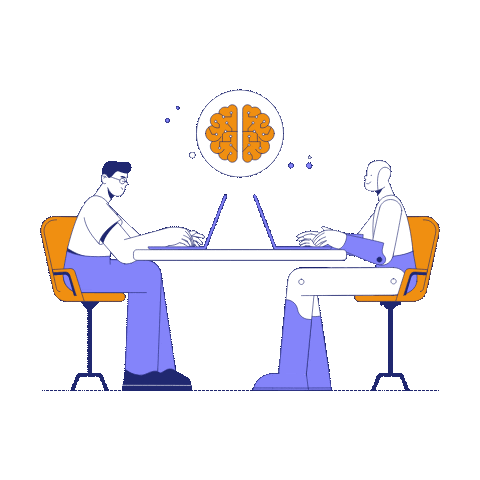 Launch & Optimization